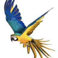 Sky Birds Pet Store logo