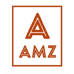 amztstore.com logo