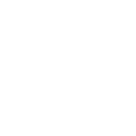 Solicon Conservatory Roofs logo
