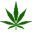 Weed World logo