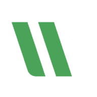 Wise Safety Ltd logo