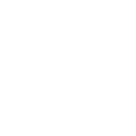 The Tech Rogue logo