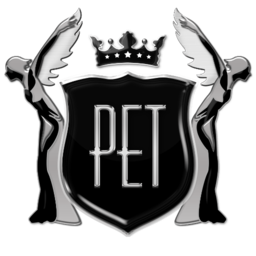Platinum Executive Travel logo