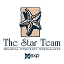 Star Team Real Estate logo