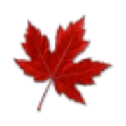Canada Flowers logo