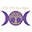 thewitchessage.com logo