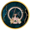 Sparkling OrganiClean LLC logo