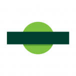 Southern logo
