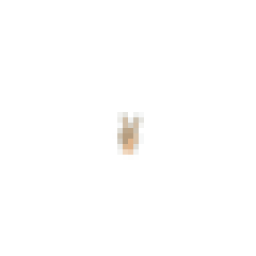 Byegym logo