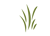 CarryGreen logo