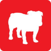 BullGuard logo
