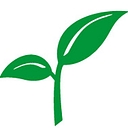 spring.bank logo
