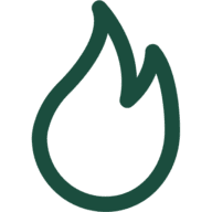 Woodstockfires logo