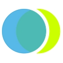 8020 Consulting logo