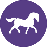Chariots Private Hire logo