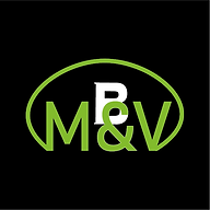 Brilliantmanandvan logo