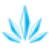 MaxCBD Wellness logo