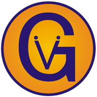Thevisionsgroup logo