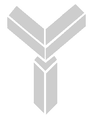 yellowstonecapital.com logo