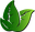 Silk Plants Canada logo