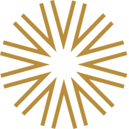 Vision Wealth Management logo
