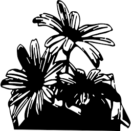 Merchants of the Sun logo