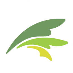 Palma Express logo