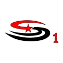 Surety One logo