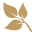 Designs By Seed logo