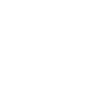 Patches N Things logo