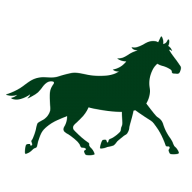 Equestrian Surfaces Ltd logo