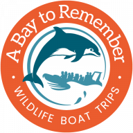 A Bay to Remember logo