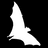 Darkroom Chocolate logo