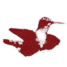 senvoler.store logo