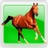 Bay Area Equestrian Network logo