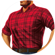 Brawny® logo