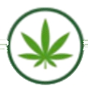 Bud4meds logo