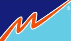 Niveshonline logo