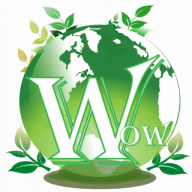 Wow Services logo