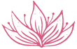 theshutterdesigner.co.uk logo