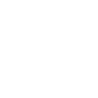 BestDaily logo
