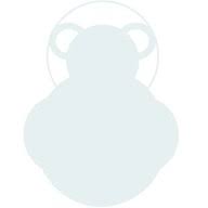Bear Hug Yoga logo