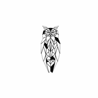 Barn Owl Lodge logo