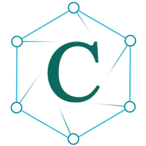 Causeway IT Services Limited logo