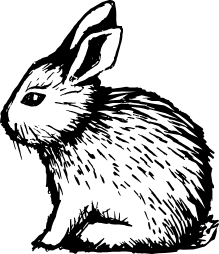 Cherith Harrison logo