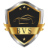 Bespoke Vehicle Security logo