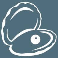Oyster Pools & Leisure logo