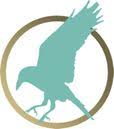 Odin windows Ltd logo