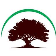 First Class Timber Ltd logo