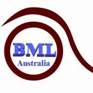 Blue Mountains Limousines & Wedding Cars logo